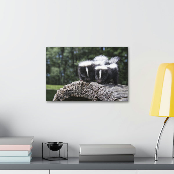 Latitude Run® Skunks Couple Skunks Couple Print Animal Wall Art | Wayfair